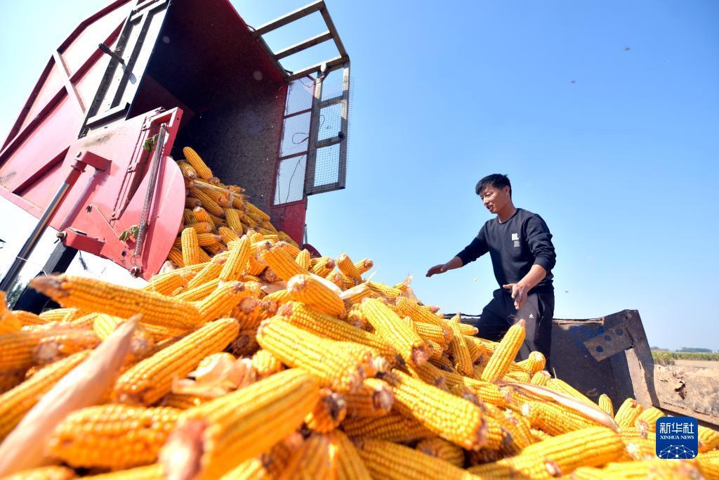 金沙财旺登录